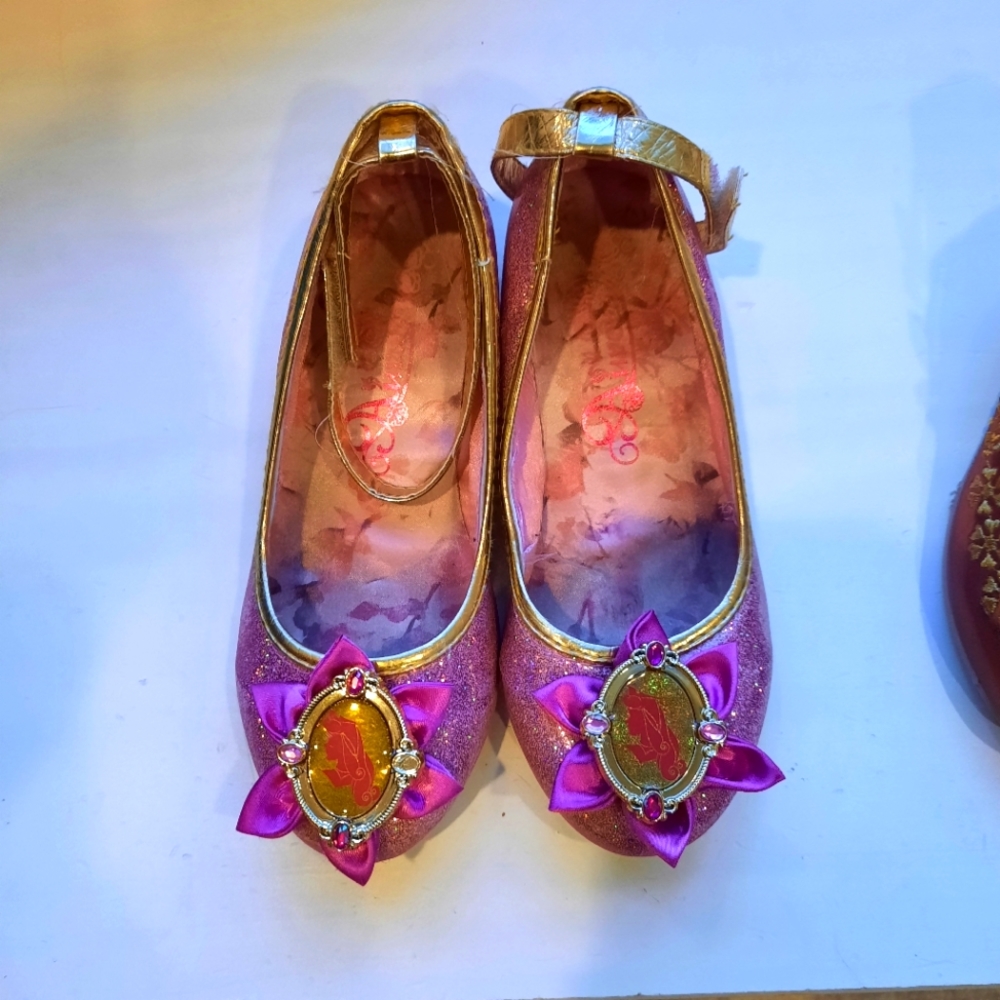 Disney princess Aurora (Sleeping Beauty) shoes